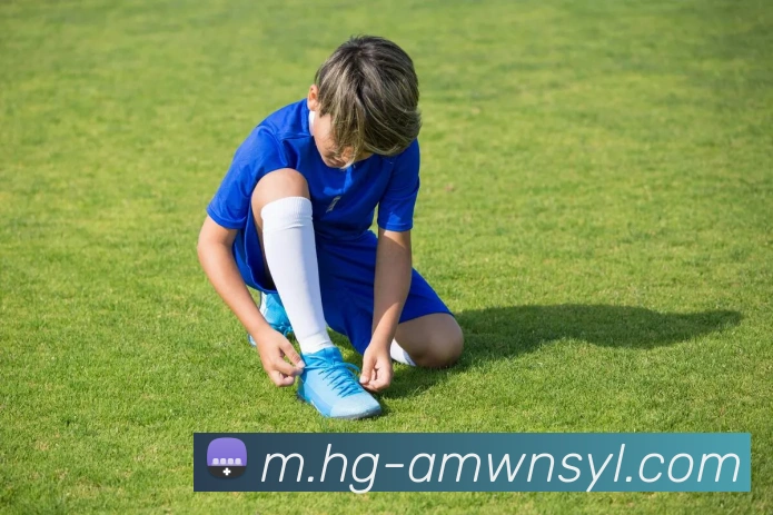 威尼斯人官网发展历程